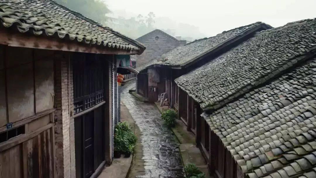 哈哈体育app官网版下载
